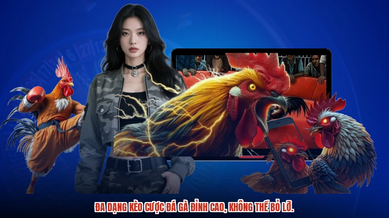 Đa dạng kèo cược đá gà đỉnh cao, không thể bỏ lỡ.