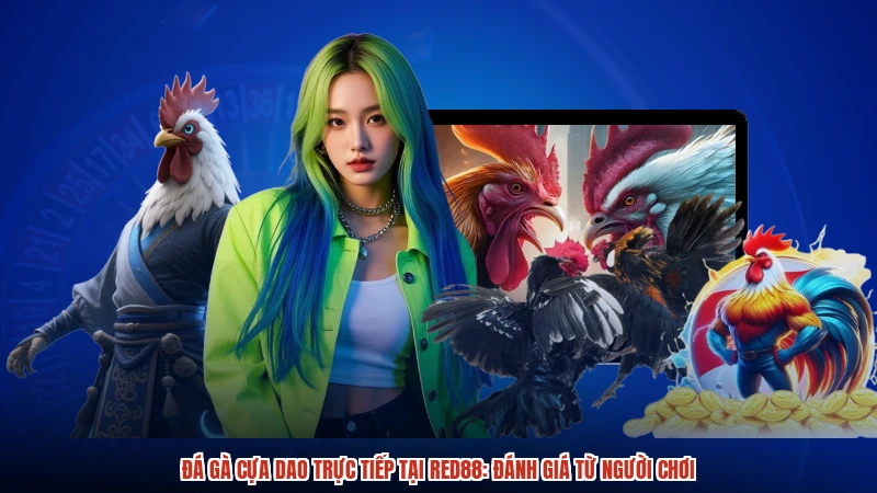 Đá Gà Cựa Dao Trực Tiếp Tại RED88: Đánh Giá Từ Người Chơi