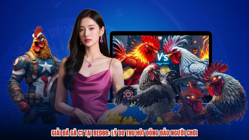 Giải Đá Gà C1 Tại RED88: Lý Do Thu Hút Đông Đảo Người Chơi
