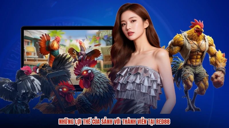 Những lợi thế của sảnh với thành viên tại RED88 Những lợi thế của sảnh với thành viên tại RED88