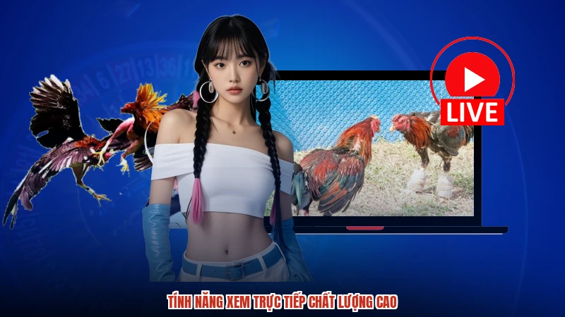 Tính năng xem trực tiếp chất lượng cao Tính năng xem trực tiếp chất lượng cao