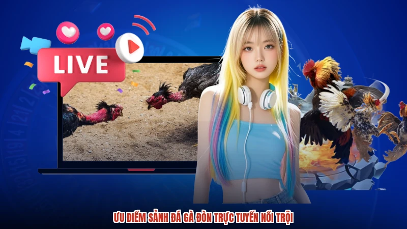 Ưu điểm sảnh đá gà đòn trực tuyến nổi trội Ưu điểm sảnh đá gà đòn trực tuyến nổi trội