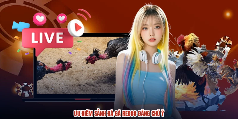 Ưu điểm sảnh đá gà RED88 đáng chú ý Ưu điểm sảnh đá gà RED88 đáng chú ý